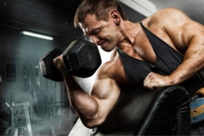 Best Protein Supplements for Weight Gain