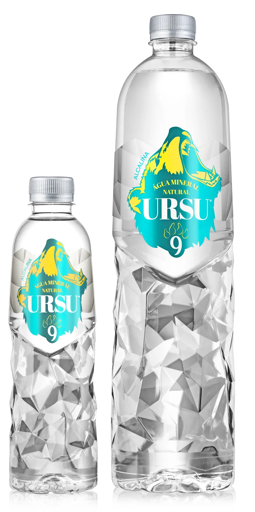 Christian Ronaldo Water Natural Alkaline Ursu 9 - 500ml | Megapump