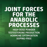 Biotech USA TST + GH Testosterone drink powder 300g | Megapump