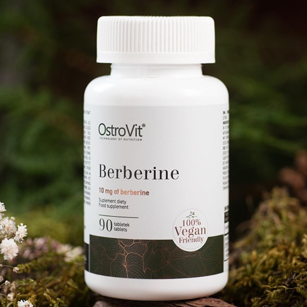 Buy OstroVit Berberine 90 tablets | Megapump