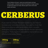 Iridium Labs Cerberus by somatodrol Aromatase inhibitor 60 capsules | Megapump