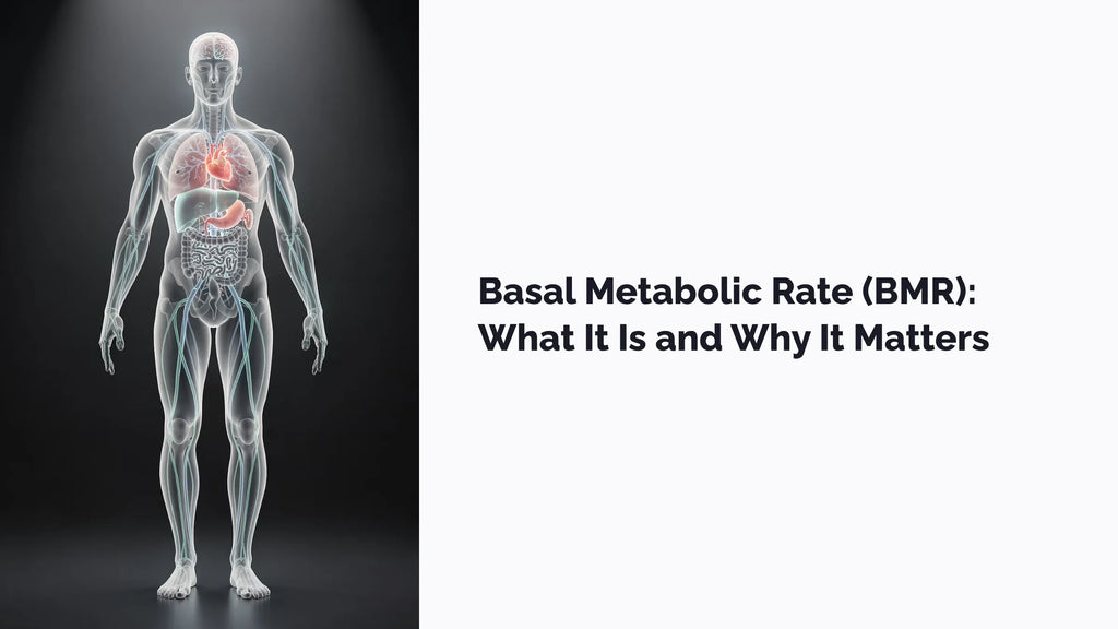 Basal Metabolic Rate (BMR): What It Is and Why It Matters