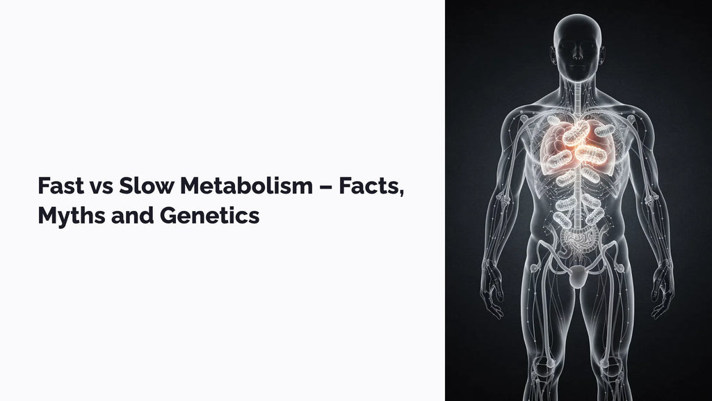 Fast vs Slow Metabolism – Facts, Myths and Genetics