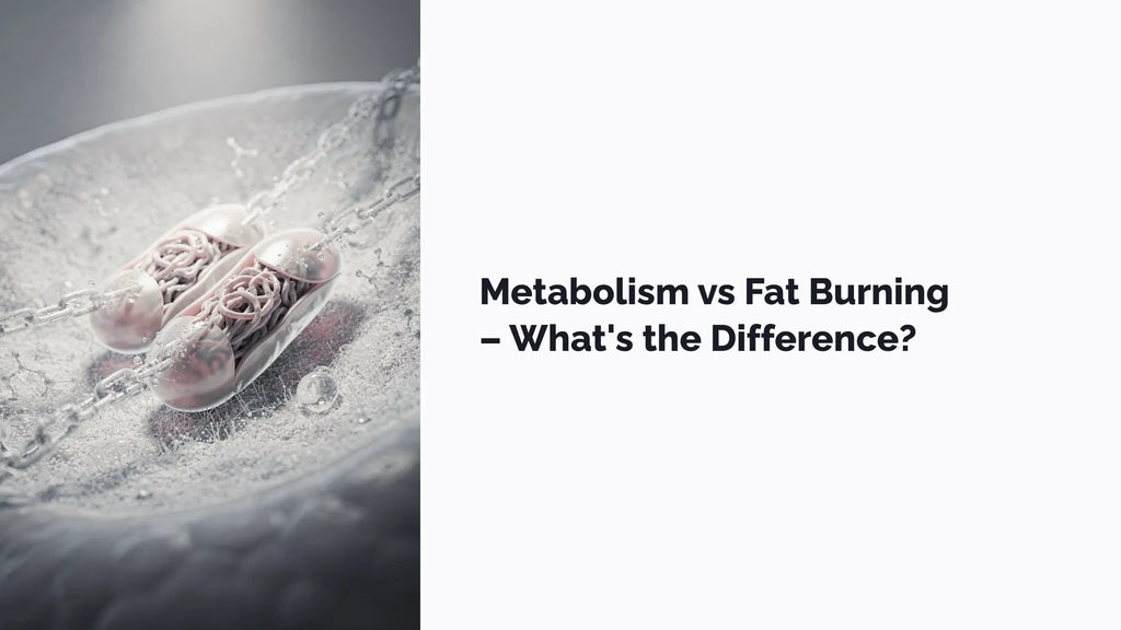 Metabolism vs Fat Burning – What’s the Difference?