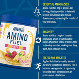 Applied Nutrition Amino Fuel Facts | Megapump