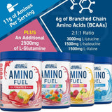 Applied Nutrition Amino Fuel Nutrition Facts | Megapump