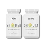 SHODEN Ashwagandha  DNA Sports | Megapump