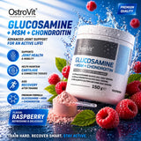 Glucosamine + MSM + Chondroitin OstroVit - 150 g | Megapump