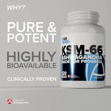HR Labs KSM-66 Ashwagandha | Megapump