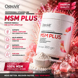 Ostrovit MSM Plus 300g | Megapump