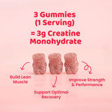 Oxyshred Creatine Gummies | Megapump