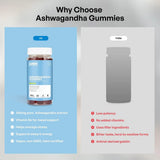SUNNA SUPPLEMENTS High Strength Ashwagandha Gummies why choose | Megapump