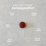 SUNNA SUPPLEMENTS High Strength Ashwagandha Gummies facts  | Megapump
