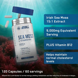 Sea Moss Vitamin B12 Information | Megapump