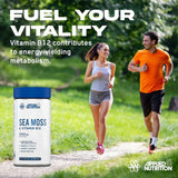 Sea Moss Vitamin B12 | Megapump