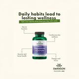 Swanson Albion Magnesium Glycinate | Megapump