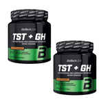 Biotech USA TST + GH Testosterone drink powder 300g | Megapump