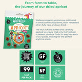 Wallaroo Apricot | Megapump