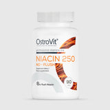 OstroVit Nacin 250 - 90 tablets | Megapump