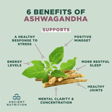 Ashwagandha benefits | Megapump
