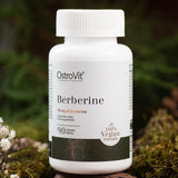 Buy OstroVit Berberine 90 tablets | Megapump