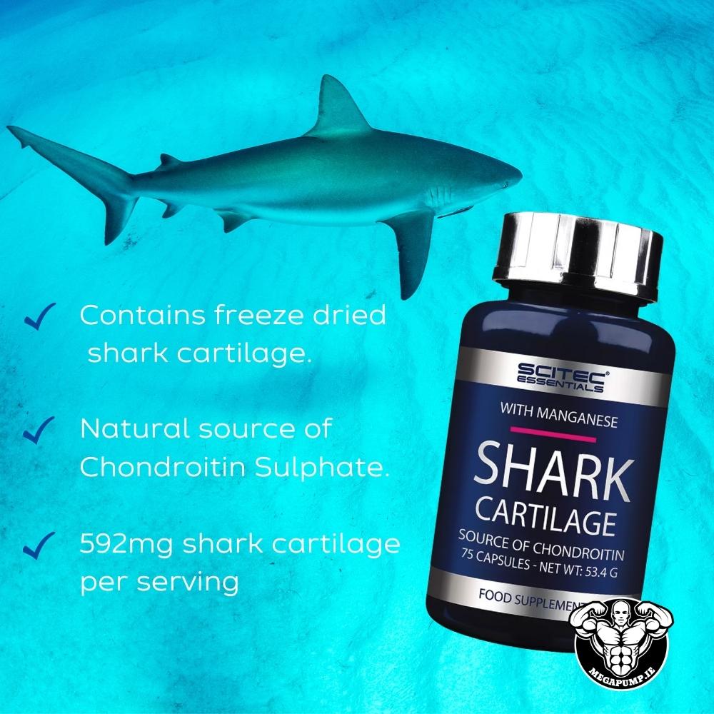 Scitec Nutrition Shark Cartilage benefits | Megapump