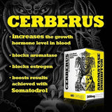 Iridium Labs Cerberus benefits | Megapump