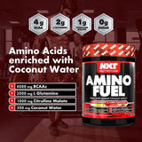 NXT Nutrition Amino Fuel | Megapump